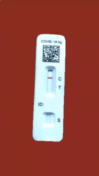 John Sullivan Test GIF