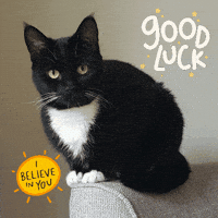 I Believe In You Good Luck GIF