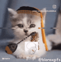 Photographer Greek GIF