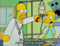 homer simpson GIF