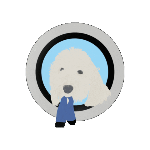washermans giphygifmaker Sticker