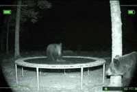 Ai Jumping GIF by Respective