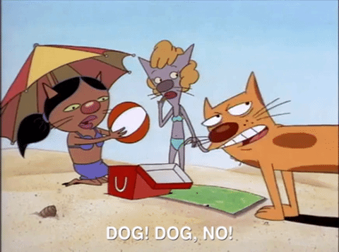 nicksplat GIF
