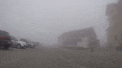 redbullracing drink snow racing cold GIF