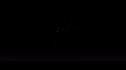 network GIF
