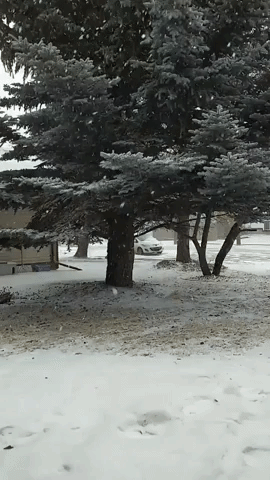 Snowfall and Sharp Winds Move Across Alberta, Canada
