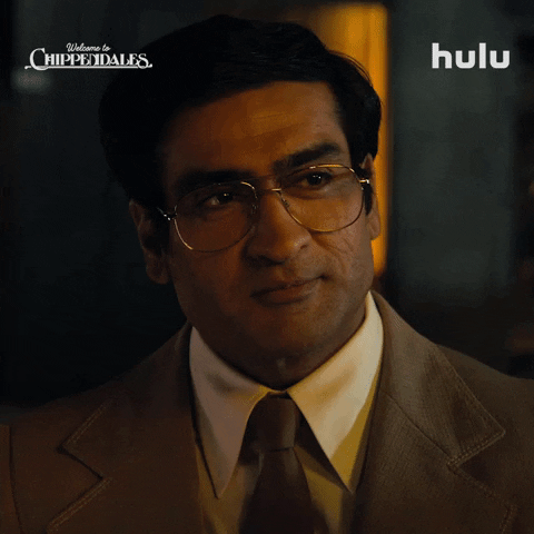 Kumail Nanjiani GIF by HULU