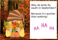 Gnome September GIF