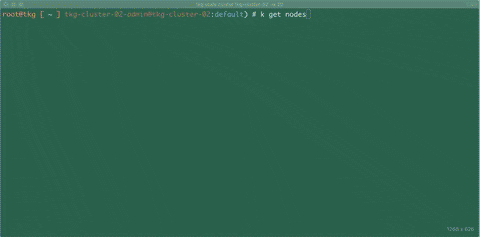 lamw giphyupload kubernetes tkg k8s GIF