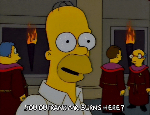 homer simpson GIF