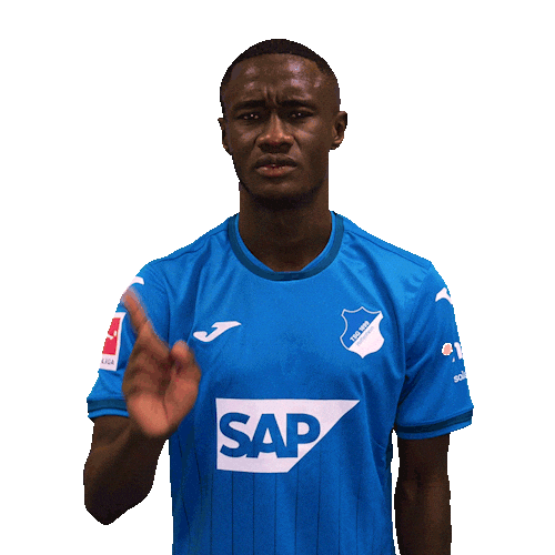Not In My House Sport Sticker by TSG Hoffenheim