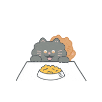 Cat Kitten Sticker by Etude_official