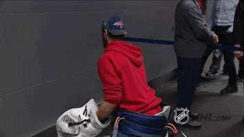 stanley cup playoffs GIF by NHL