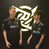 Cs2 Nip GIF by Ninjas In Pyjamas