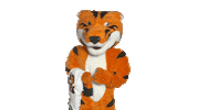 Confused Dream School Sticker by Rochester Institute of Technology