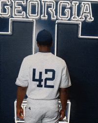 Georgia Tech Baseball GIF by Georgia Tech Yellow Jackets