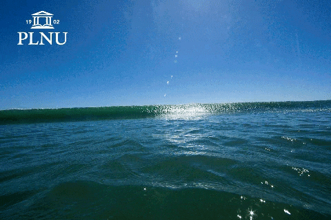 PLNU giphygifmaker giphyattribution wave surf GIF