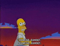 homer simpson GIF