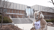Weber State Basketball GIF by Weber State University