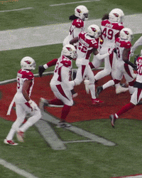 Celebrate Deandre Hopkins GIF by Arizona Cardinals