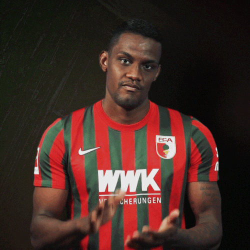 La Pantera Bundesliga GIF by FC Augsburg 1907