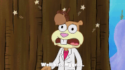 season 9 episode 23 GIF by SpongeBob SquarePants