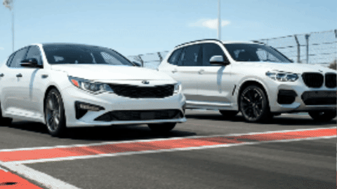 WhippetAddict giphygifmaker giphycreatortest race GIF