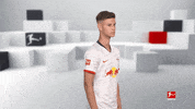 Posing Line Up GIF by Bundesliga