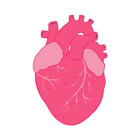 JesFortner_Illustration heart illustration pink sticker Sticker