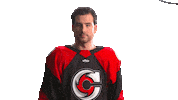 Hockey Echl Sticker by Cincinnati Cyclones