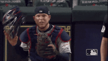 major league baseball 2019 mlb regular season GIF by MLB