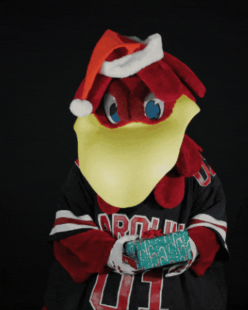 Christmas Winter GIF by University of South Carolina