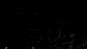 design lines GIF by Ai Di Ti