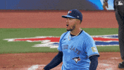 Celebrate Lets Go GIF by Toronto Blue Jays