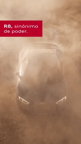 audichile  GIF
