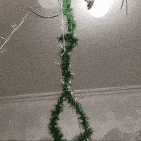 Christmas Mood GIF