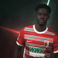 France Football GIF by FC Augsburg 1907