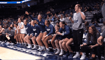 XavierWBB celebration 3 contest bench GIF