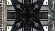 Art Video GIF by jorgemariozuleta