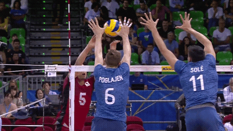 Shall Not Pass La Albiceleste GIF by Volleyball World