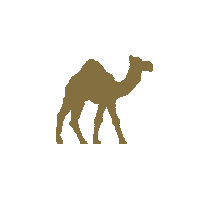 thecomplainers_official fashion design photography moda Sticker