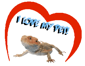 Guinea Pig Love Sticker