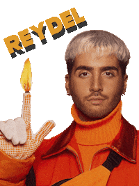 Reydel Nicoreydel Sticker by DBN