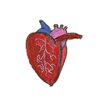 Mariposa Georgina Sticker by Sebastián Yatra