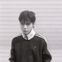 4Shoboiz GIF