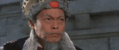 martial arts women warriors GIF by Shaw Brothers