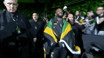 Aljamain Sterling Sport GIF by UFC