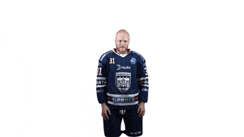 Hockey Hoki GIF by Fehervar AV19