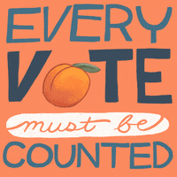 Election Day GIF by Creative Courage