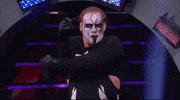 Pro Wrestling Sport GIF by ALL ELITE WRESTLING